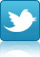 Twitter Logo
