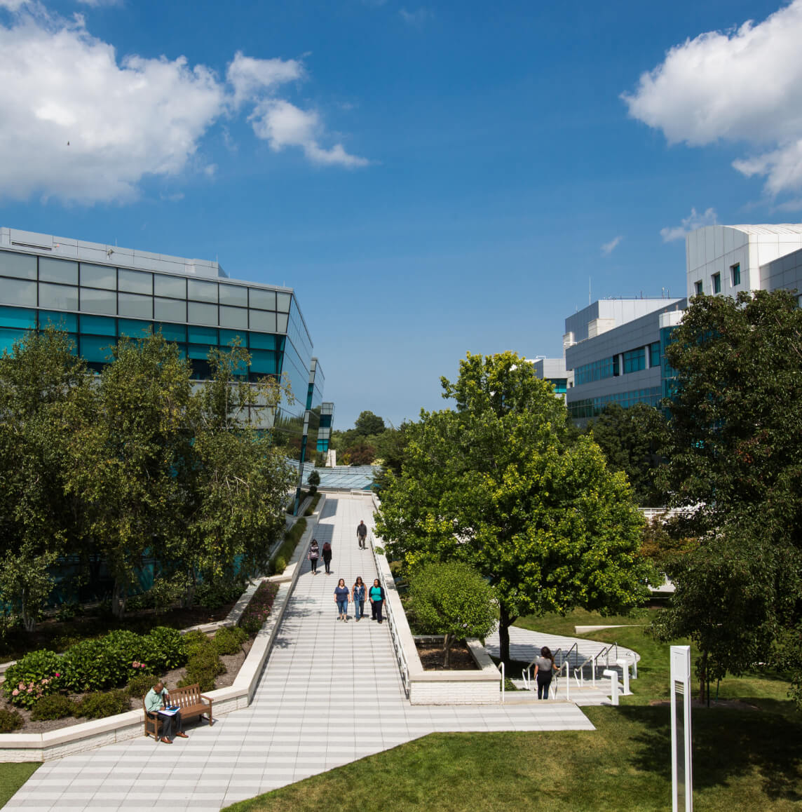 Real Estate & Facilities Management Jobs Progressive Careers