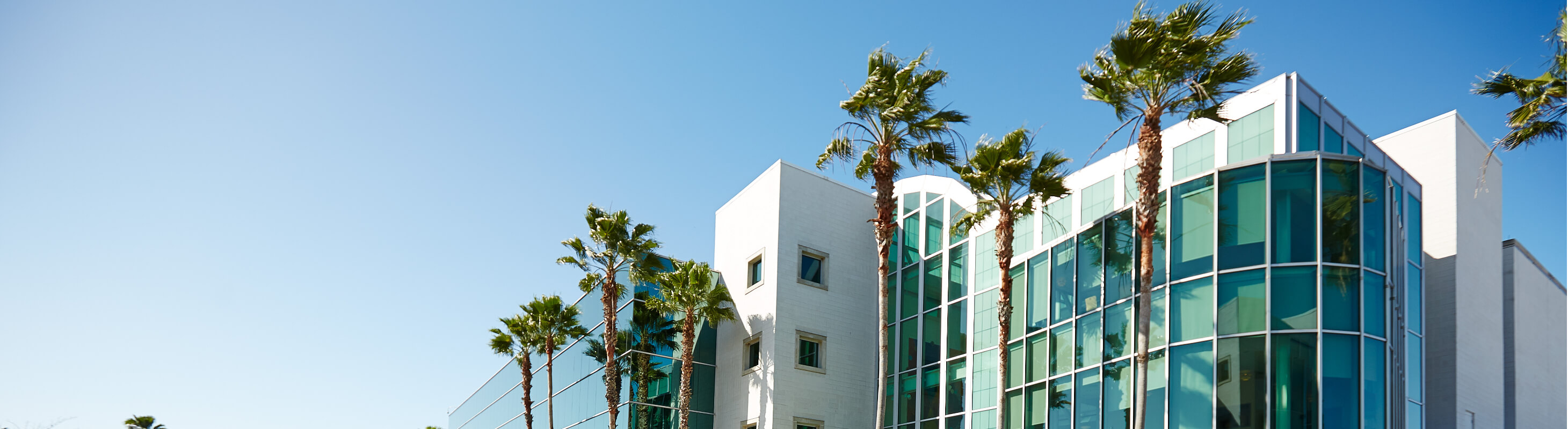 Office Location in Tampa, Florida Progressive Careers