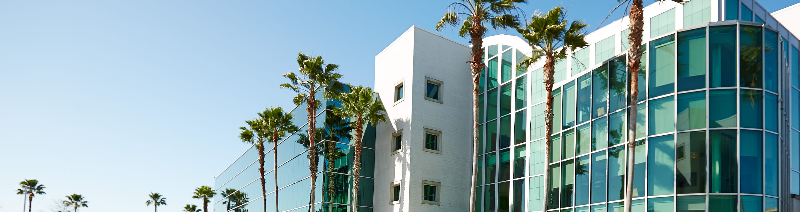 Insurance in Tampa, Florida Progressive