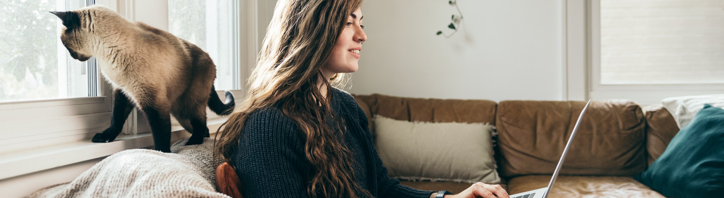 Work From Home Careers Progressive Careers