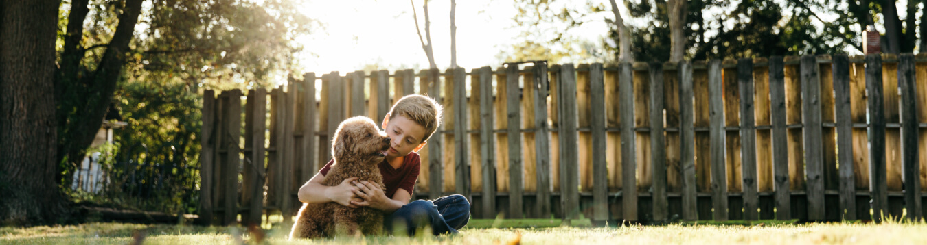 Pet Insurance: Customizable & Affordable | Progressive